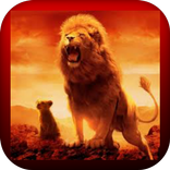 lion king
