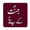 Jannat k Pattay Novel Offline APK