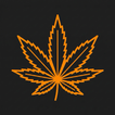 Cannabis Cert Exam Prep 2026 Zeichen