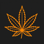 Cannabis Cert Exam Prep 2026