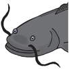 Catfish Tactics & Secret Baits APK