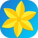 Gallery Ad Free