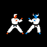 Karate Fighter