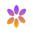 Ndaya US icon