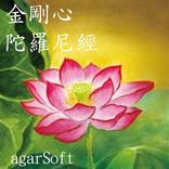 金剛心陀羅尼經