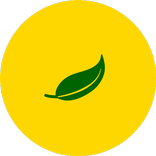 AgroYouth: Petani Milenial
