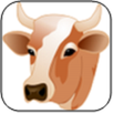Dairy Kannada APK