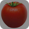 Tomato Kannada APK