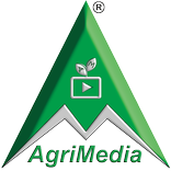 AgriMedia : Hi Tech Village