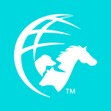 AHI AMS Pen Rider APK