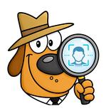 Merlin: AI Face Search