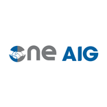 One AIG