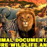 Live Documentary Animals