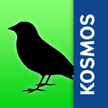 Vögel Europas bestimmen