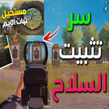 خبير تثبيت السلاح