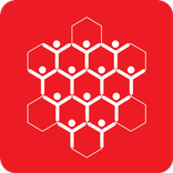 Hive