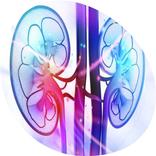AKIC -Acute Kidney Injury Care