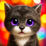 KittyZ，你的虛擬小貓 - 2