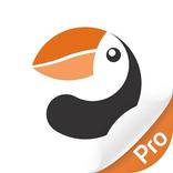 Alcidae Pro