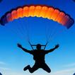 skydive pro Zeichen