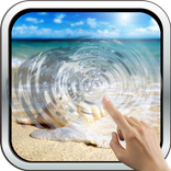 Magic Touch: Sea Shell Live Wa