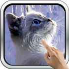 Interactive Kitten simgesi