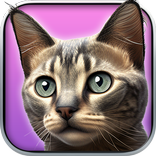 Anak kucing saya : simulator