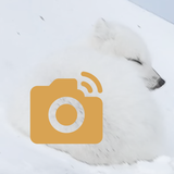 AlopexCamera - Camera Remote APK