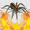 Pest Control 3D APK