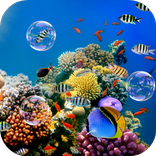 Colorful Tropical Fishes