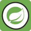 Spring Framework Pocket ikona