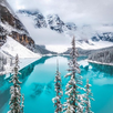 Snow Wallpapers APK