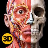 Anatomy 3D: Human Body Atlas