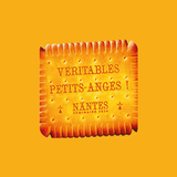 ANGE 2024-APK