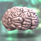 Brain Swap