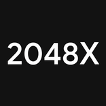2048 X