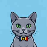 ENRURO: Vocabulary Flashcards