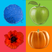 Learning Colors for Kids APK
