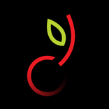 Cherryflix: Web Series & Movie