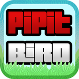 Pipit Bird