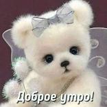 Pictures - Good morning!