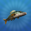 True Fishing 2: Online 3D icon