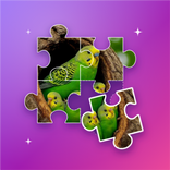 Jigsaw Puzzle - Cardscapes
