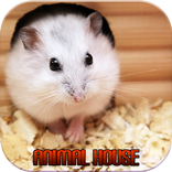 Animal House
