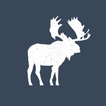 Icona Moose Bar
