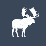 Moose Bar