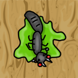 Ant Squash