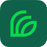 Index Service