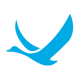 Udaan
