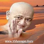 Acharya Shree Vidyasagar